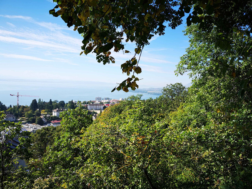 Lieu de détente prisé notamment pour sa piste finlandaise, le Chanet est situé dans les hauteurs de la ville, à environ 600 mètres d’altitude. (Photo: Ville de Neuchâtel)