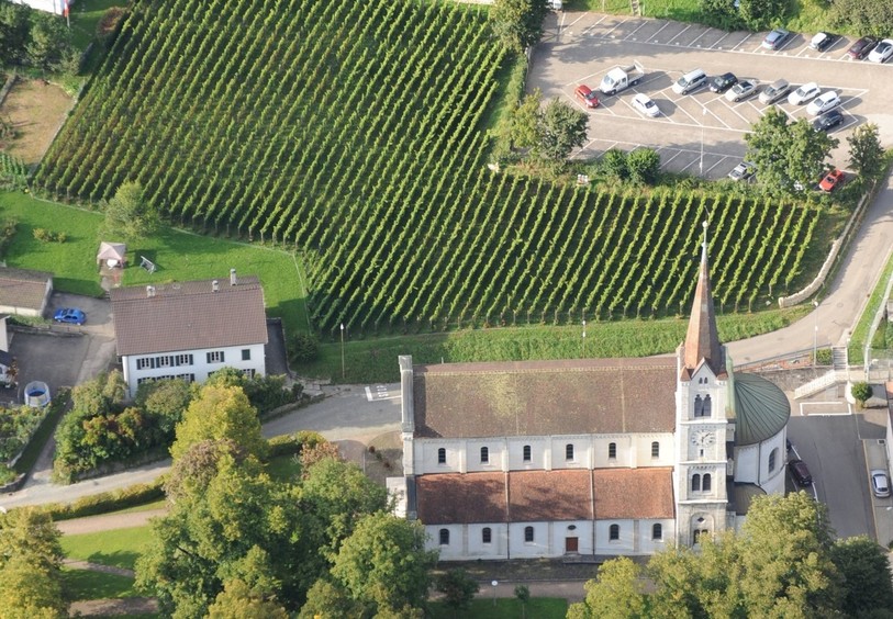 La récolte s'annonce bonne à Moutier malgré un épisode de gel tardif (photo : association Autour de St-Germain).