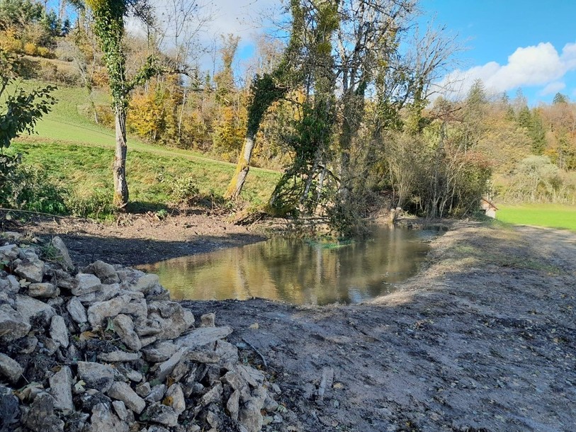 Le Parc du Doubs poursuit son engagement en faveur de la biodiversité, il a notamment revitalisé une mare d’Épauvillers. (Photo : Parc du Doubs.)