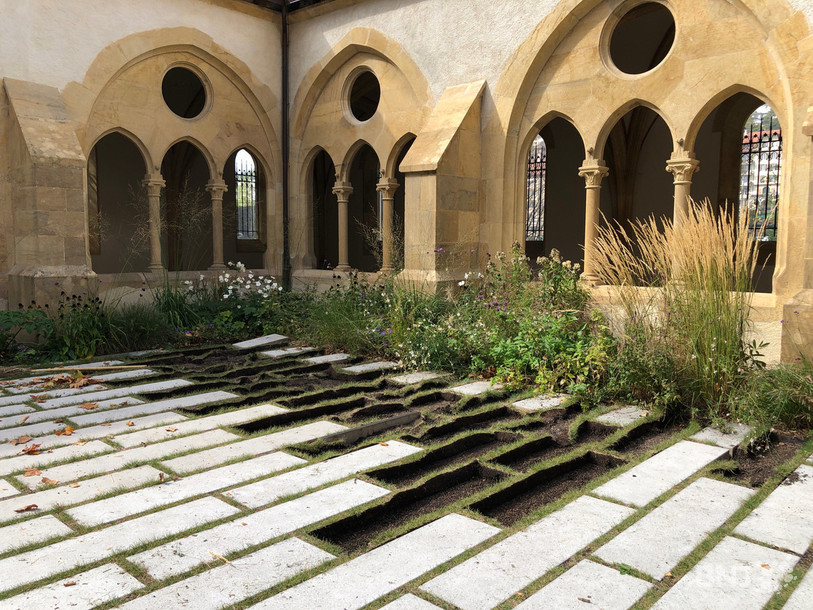 Le vin a été découvert sous le parvis du cloître de la Collégiale.