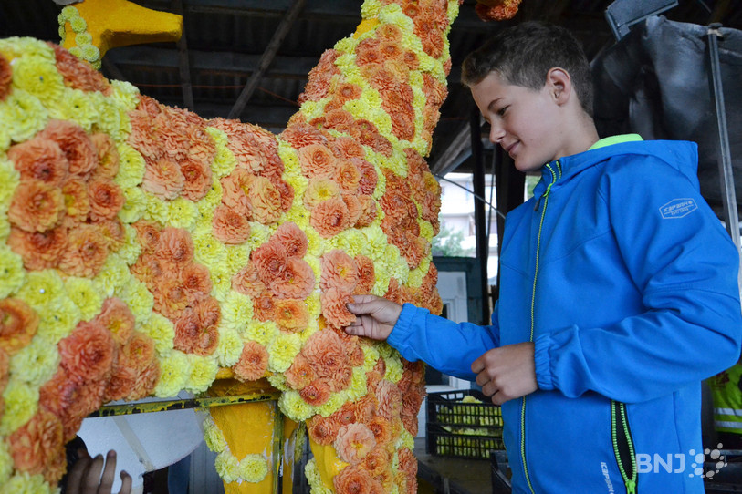 500 élèves de la région se relayent sur deux jours pour piquer les chars du Corso fleuri. Plus de 400'000 dahlias sont nécessaires.