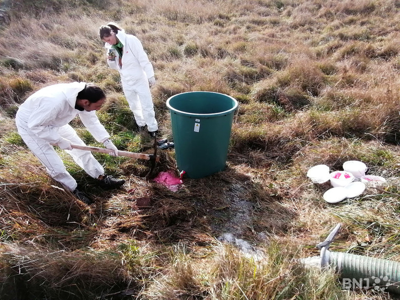 Des personnes de l’ISSKA déversent le colorant dilué sur le site de la Haute-Borne.