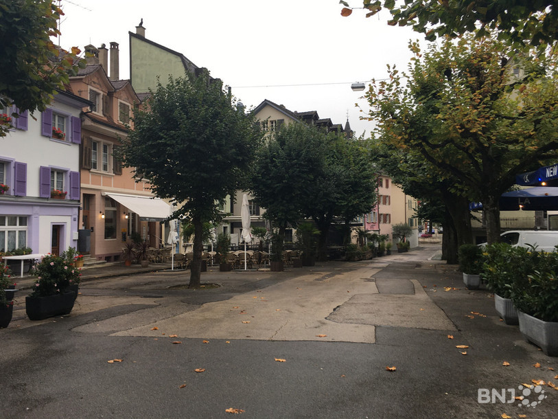 Le sort des arbres de la place Roland-Béguelin à Delémont préoccupe un groupe de citoyens.