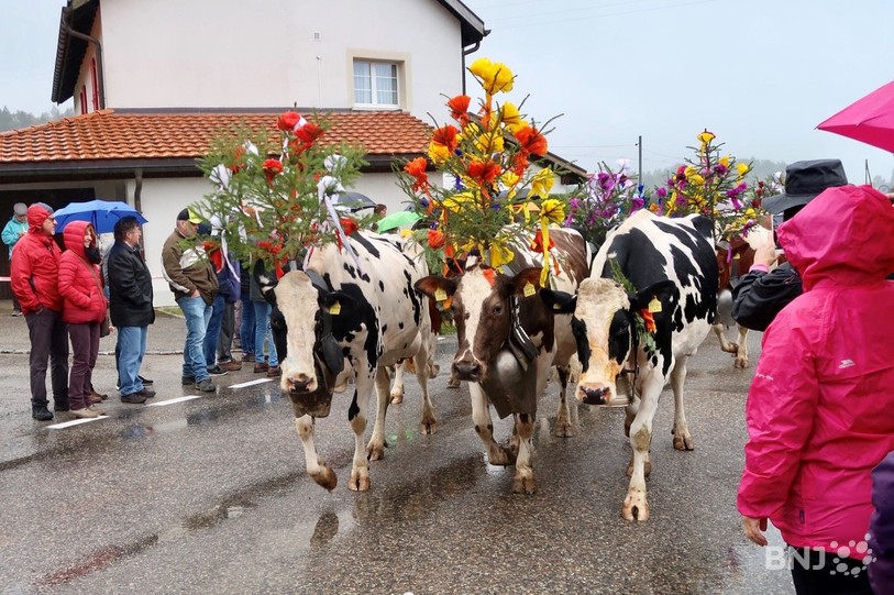 La désalpe du Boéchet a été marquée par la pluie mais n'a pas empêché la fête.