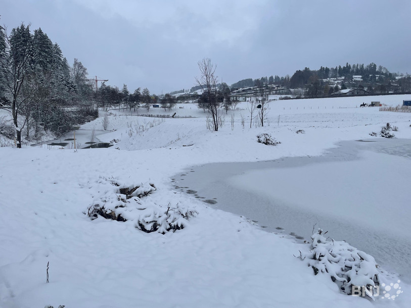 Les étangs à batraciens des Grandes-Crosettes, recouverts par la première neige de l'hiver.