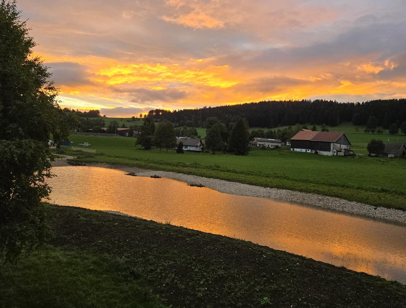 Un des deux nouveaux bassins à batraciens, avant l'arrivée de la neige (photo : Amélie Cacerès).