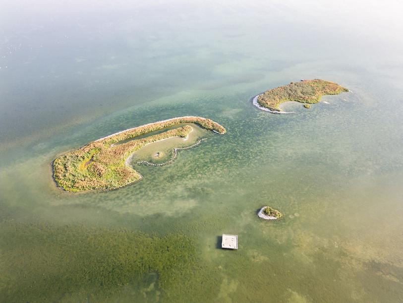 Les îles du Fanel avant les travaux de réaménagement. (Photo : Association de la Grandre Cariçaie)