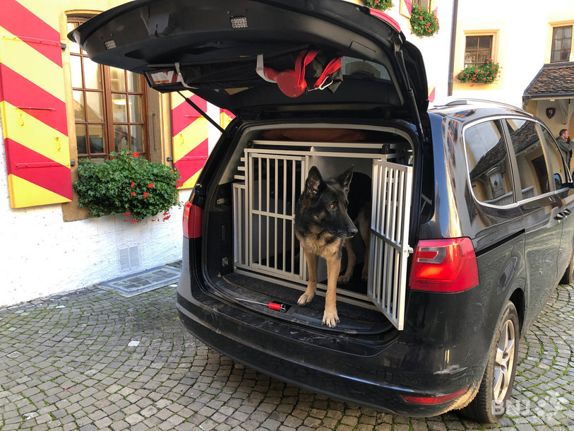 Les chiens policiers ont aussi été mis à contribution.