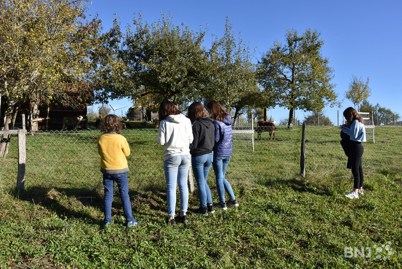 Place au dessin d'animaux pour les jeunes inscrits au camp d'arts visuels.