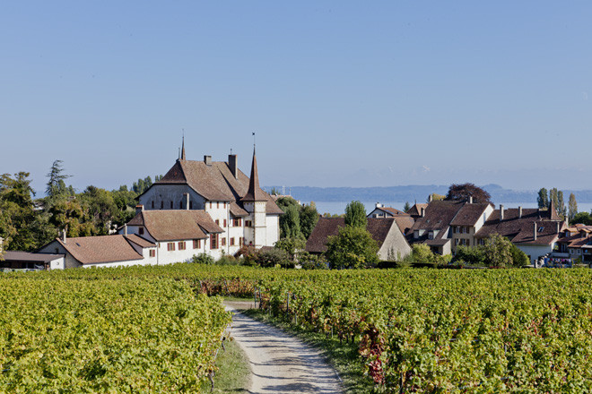 Les Caves du Château d'Auvernier sont désormais dirigées par Henry Aloys Grosjean. (Photo : Domaine du Château d'Auvernier).