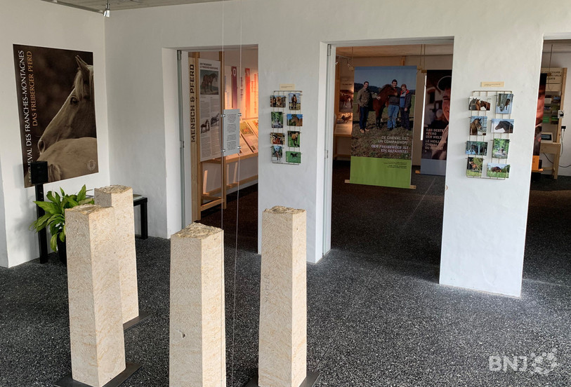 L'exposition se tient dans le cloître de Maison-Rouge.