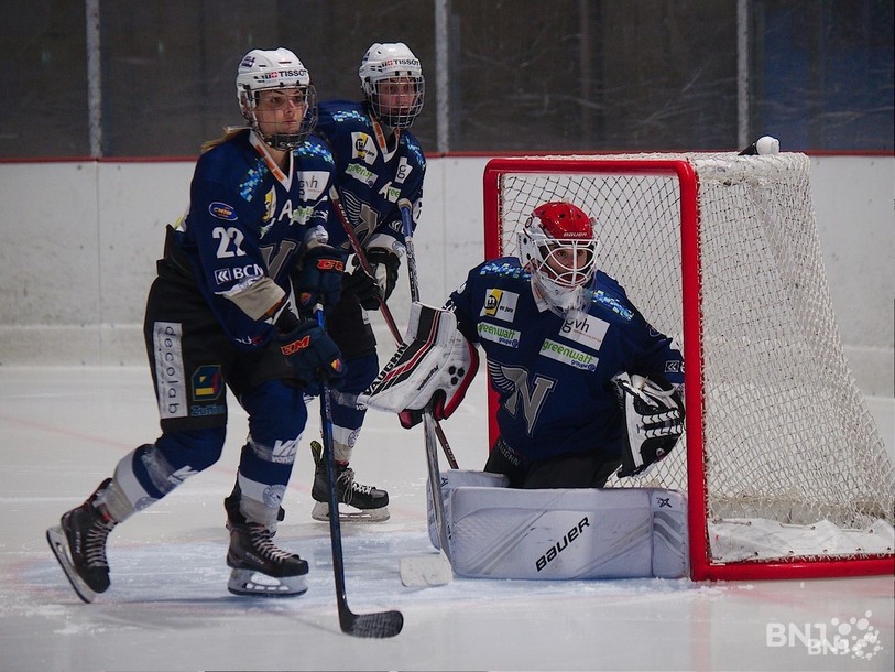 Les Hirondelles n'ont pas pris leur envol samedi soir face à Weinfelden. (photo : archives)