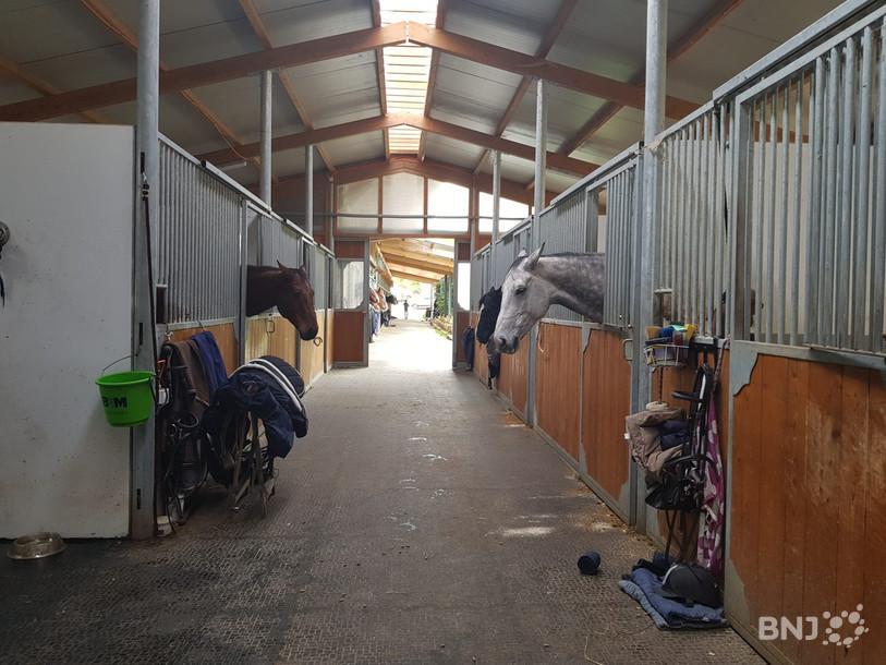 Visite des écuries du centre équestre du Cudret à Corcelles-Cormondrèche.