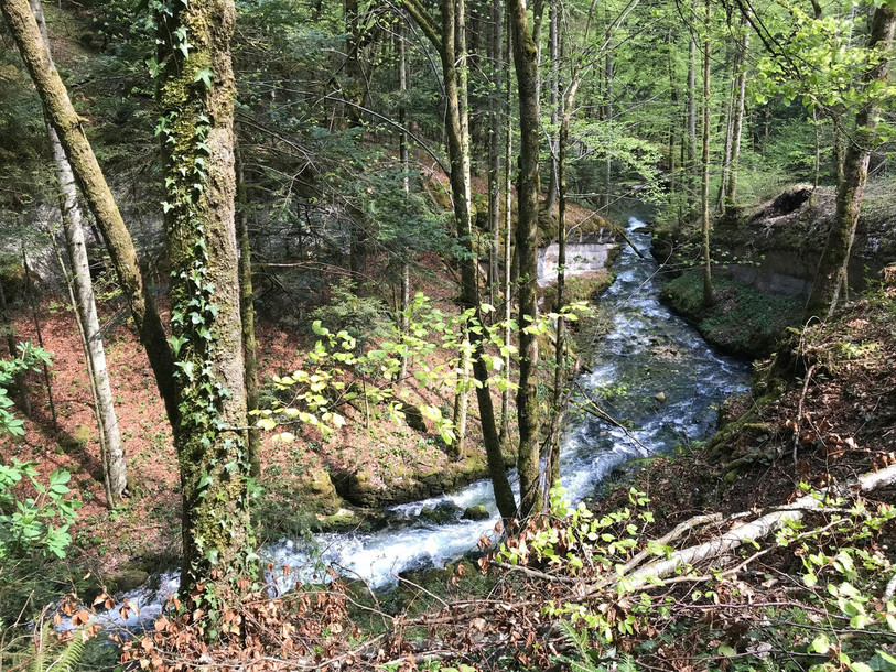 La Doux pourrait potentiellement voir sa couleur changer la semaine prochaine. (Photo: municipalité de St-Imier)