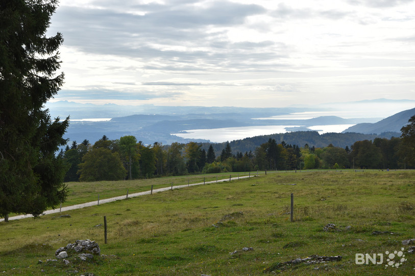 La Montagne de Romont avec la région des Trois Lacs en arrière fonds.