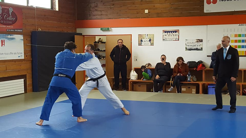 Judo Jura s'est imposé samedi face à Carouge. (Photo : Judo Jura)