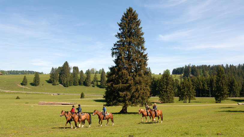 L'offre « Tous en selle » est notamment financée grâce au produit de la taxe de séjour. (Photo : Jura Tourisme)