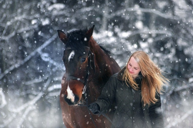 L'application doit permettre au cavalier de ne pas se tromper quand il choisit son cheval.