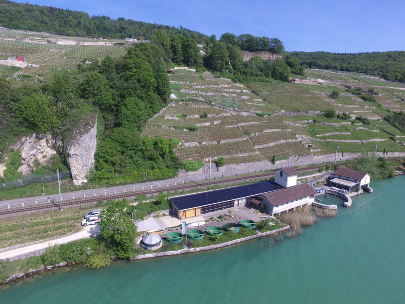 La pisciculture de Gléresse et son toit couvert de panneaux photovoltaïques. (Photo: seeland.biel/bienne)