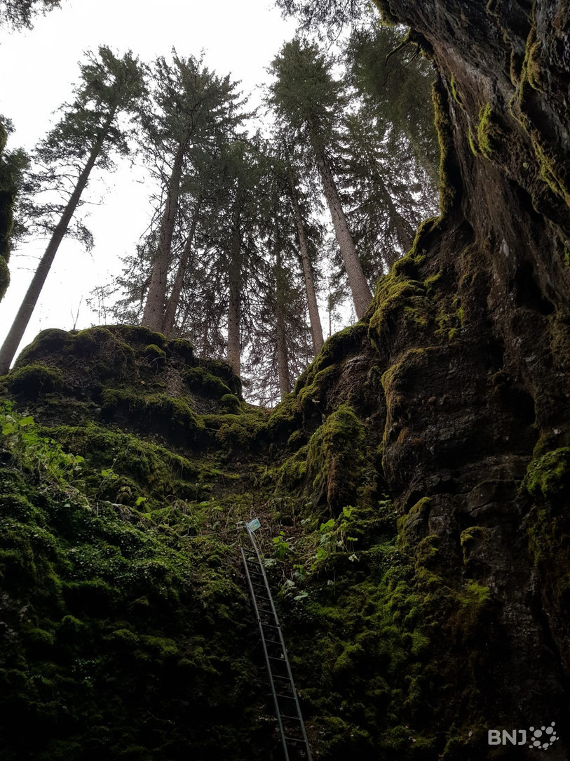 L'entrée de la glacière de Monlési se trouve au fond d'un gouffre.
