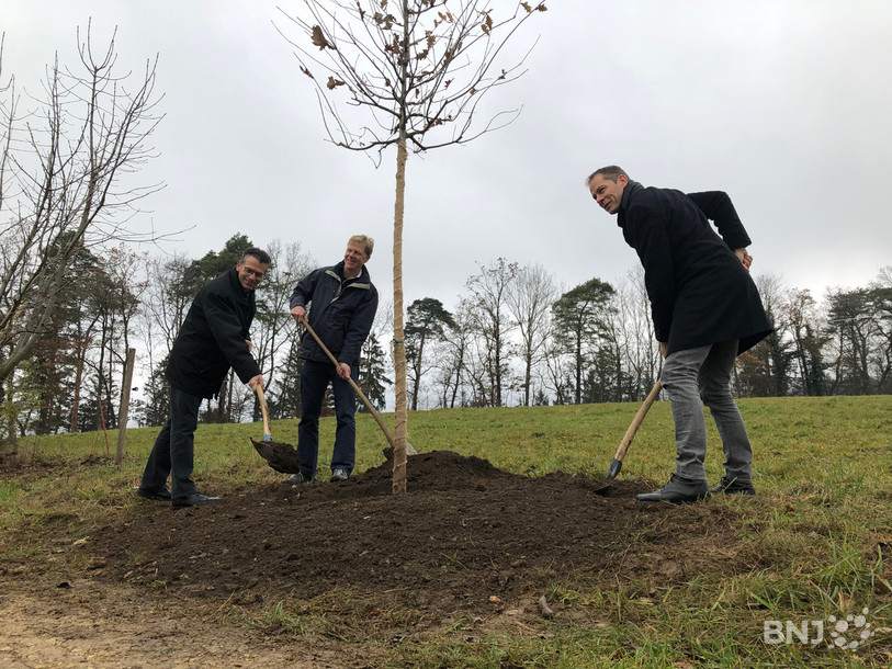 D'autres communes, comme ici à Val Terbi, avaient accepté de planter 40 chênes en souvenir des 40 ans du Jura.