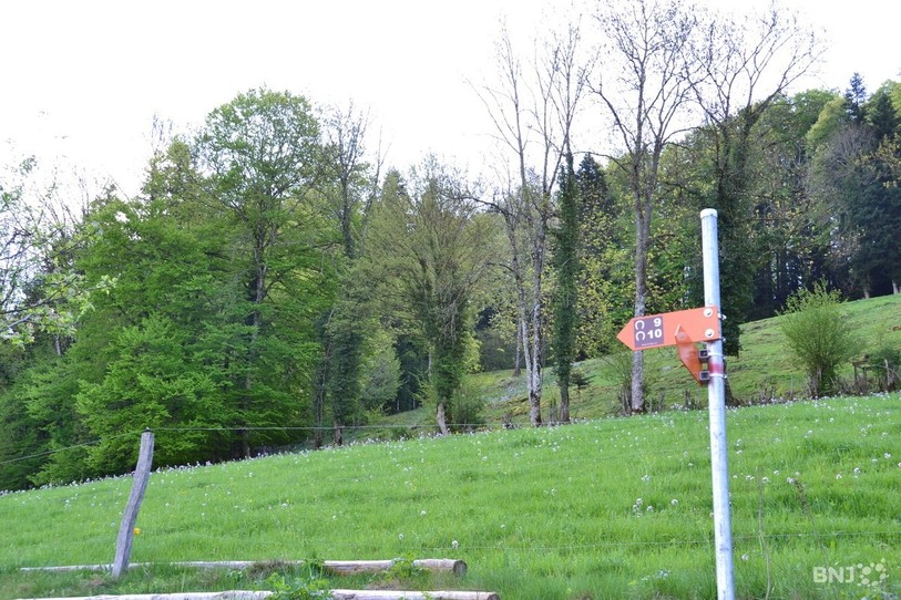 L'association Marguerite s'occupe notamment de baliser les réseaux équestres, comme ici dans le Clos du Doubs (photo : archives).