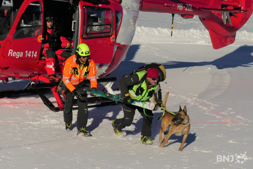 Les équipes de sauvetage à bord des hélicoptères sont accompagnées de chiens.