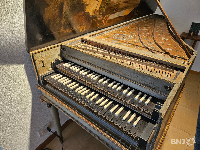 Cet instrument date 1658, il s'agit d'un clavecin Louis Denis.