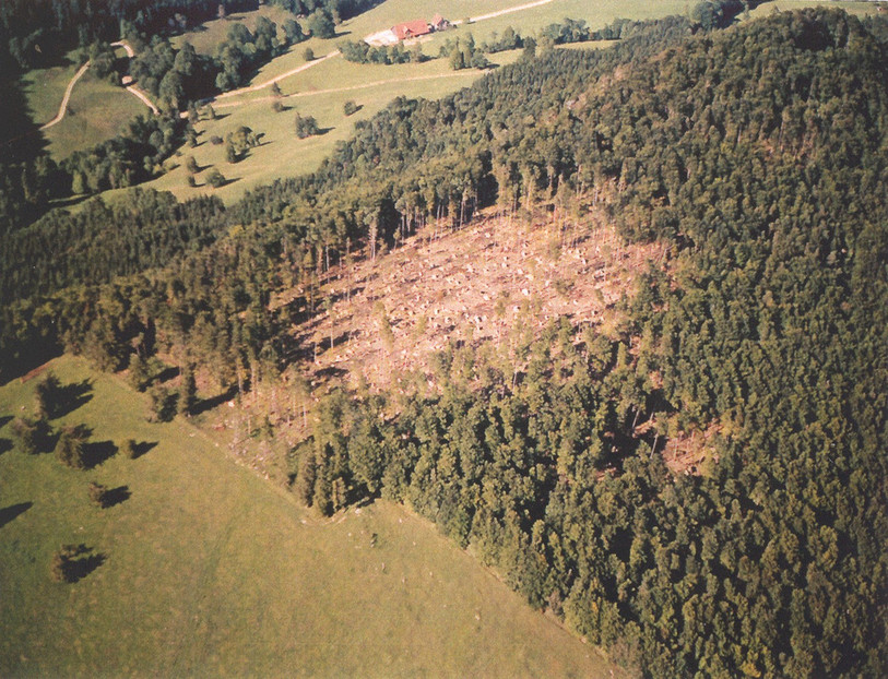 Le passage de Lothar a laissé des traces dans les forêts jurassiennes. (Photo: Office de l'environnement du canton du Jura)