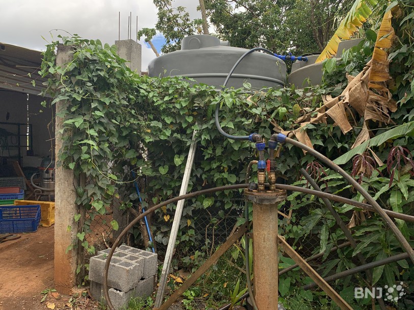 Pour faire face aux coupures d'eau et assurer l'arrosage de ses cultures, Veerapen Logadassen stocke l'eau de pluie dans ses réservoirs.