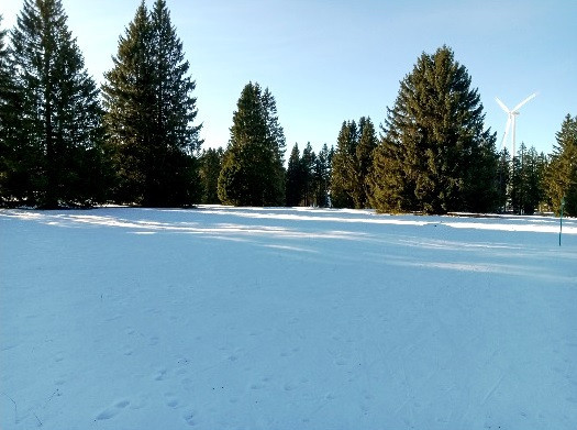 La neige est bien présente au Mont-Crosin (photo ldd SC Les Breuleux)