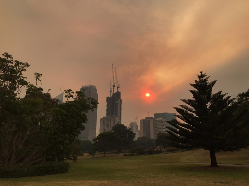 La fumée est omniprésente à Sydney. (Photo : Sheridan Vautier).