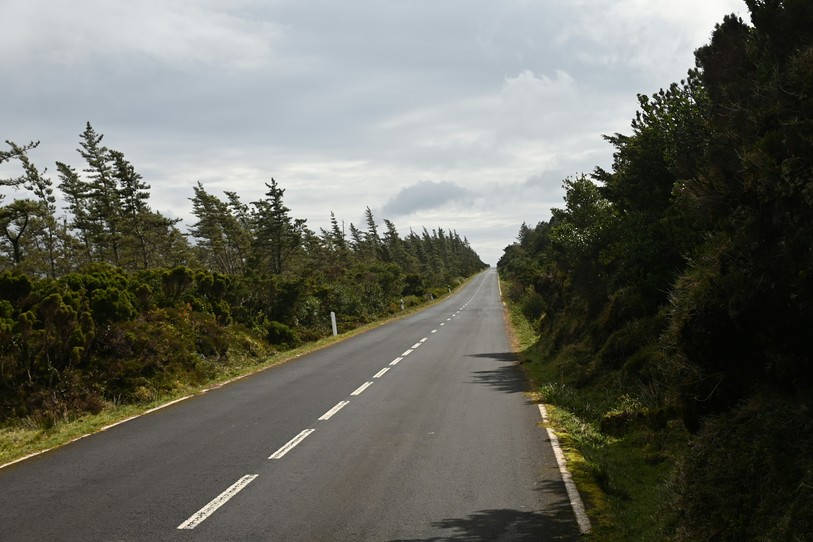 Image prétexte de route. Photo : Unsplash.