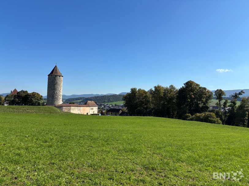 A l'instar de la prison, les conseillers de ville craignent de voir des services cantonaux quitter Porrentruy. (Photo : Archives)