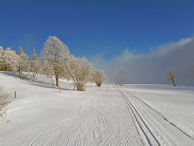 Lea skieurs avertis reconnaîtront une partie du domaine skiable du centre nordique de La Vue-des-Alpes et Tête-de-Ran (Photo: Romandie Ski de Fond).
