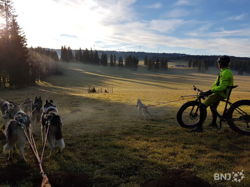 Le bonheur d'une balade avec des chiens de traîneau, c'est aussi de contempler de magnifiques paysages.