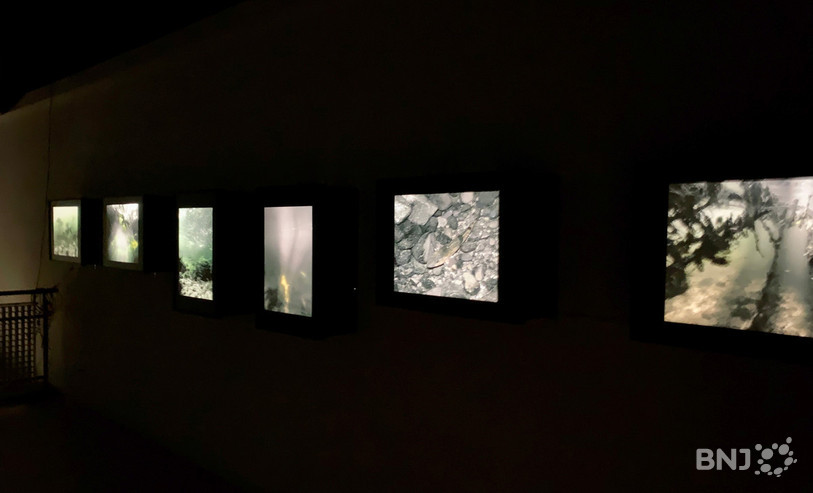 L'exposition se tient en partie dans l'obscurité, pour évoquer les profondeurs du Doubs.