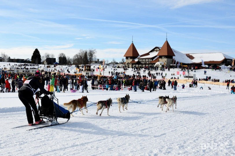Le tableau risque bien cette année d'être moins idyllique que l'année passée pour les Courses de chiens de traîneaux à Saignelégier. (Photo: archives)