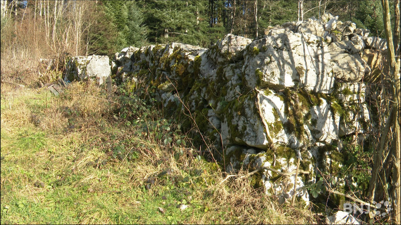 Les haies, murs de pierres sèches ou tas de bois sont favorables à de nombreuses espèces champêtres.