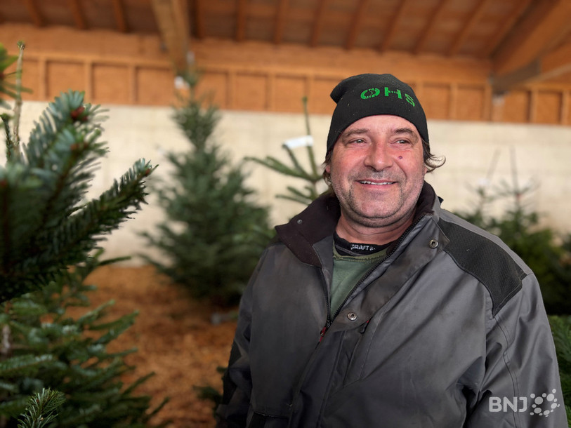 Sur une parcelle de 5 ha, Nicolas Dolder fait pousser des sapins de Noël. 