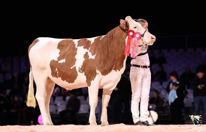 Histoire de Werner Winkler. Photo: Swiss Expo.