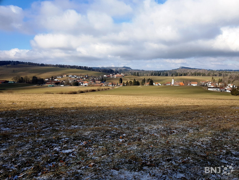 Les paysages des Franches-Montagnes restent désespéramment verts cet hiver. La preuve avec cette photo prise cette semaine sur les hauteurs de Lajoux.