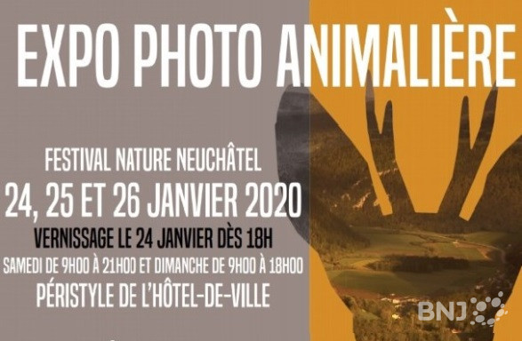 Le premier festival de photographie animalière du canton se tiendra du 24 au 26 janvier au Péristyle de l'Hôtel de Ville de Neuchâtel.