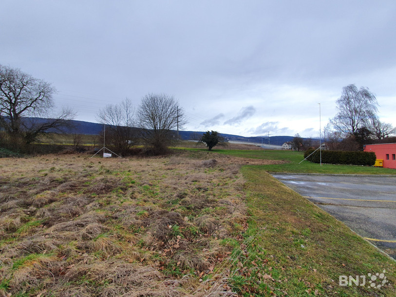 Le terrain où devrait prendre place le centre de loisirs à Thielle.