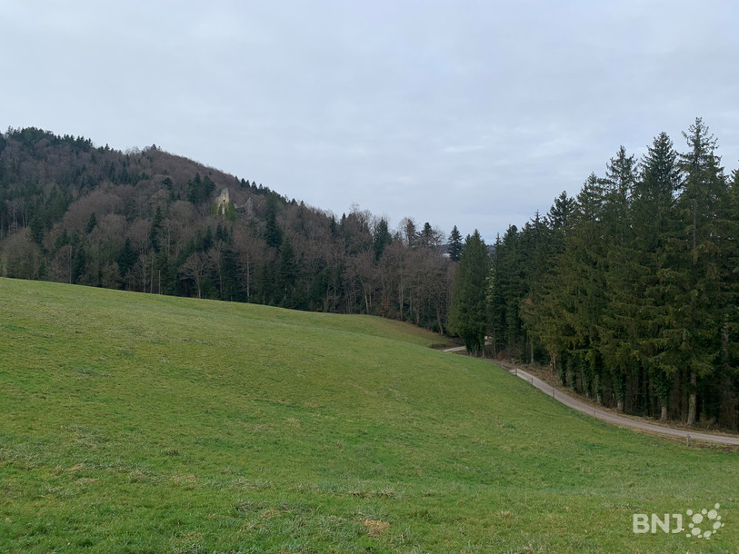 La ruine du Löwenbourg à Ederswiler, une balade propice à organiser des chasses au trésor en tout genre avec les enfants.