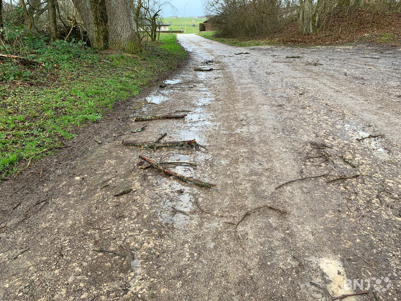 Des branches sont tombées un peu partout dans les forêts de la région.