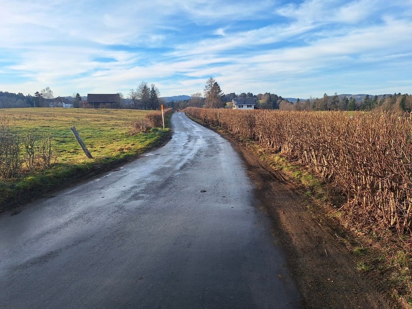 Des secteurs à proximité des habitations pourraient être limités à 30 km/h sur la route entre Biaufond et Les Bois. (Photo: Daniel Hubleur)