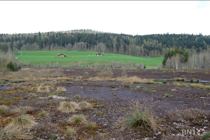 Ce type de travaux a déjà été faits dans les tourbières des Ponts-de-Martel, avec des résultats intéressants, notamment en matière de population de libellules. (Photo : archives)