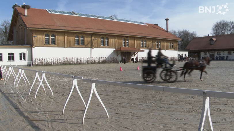 L'examen se déroule au Haras national d'Avenches et comporte une partie montée et attelée.