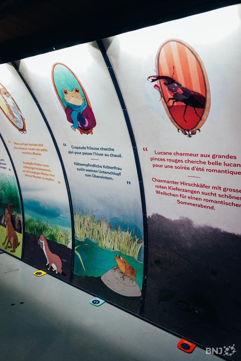 Dans l'exposition, le visiteur est invité à incarner un animal de nos régions.